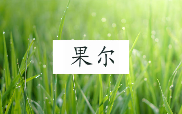 “杲爾”無效及“果爾”商標的保護
