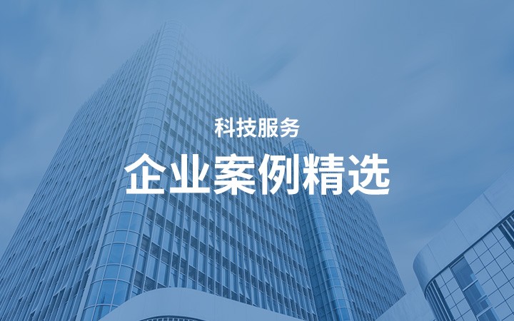 科技服務-企業(yè)服務案例摘選